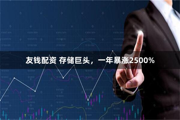 友钱配资 存储巨头，一年暴涨2500%